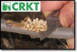 CRKT 2380 Ritter RSK Mk5 Survival Veitsi. 7 CRKT 2380 Ritter RSK Mk5 Survival Veitsi. -Bergner Store rskmk5 featherstick 300wds 1005 b3a